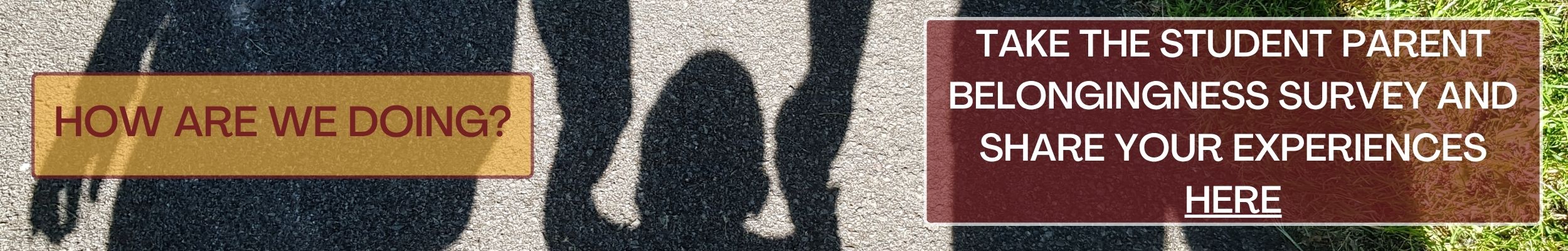 Take the student parent belongingness survey here