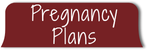 Pregnancy Plans