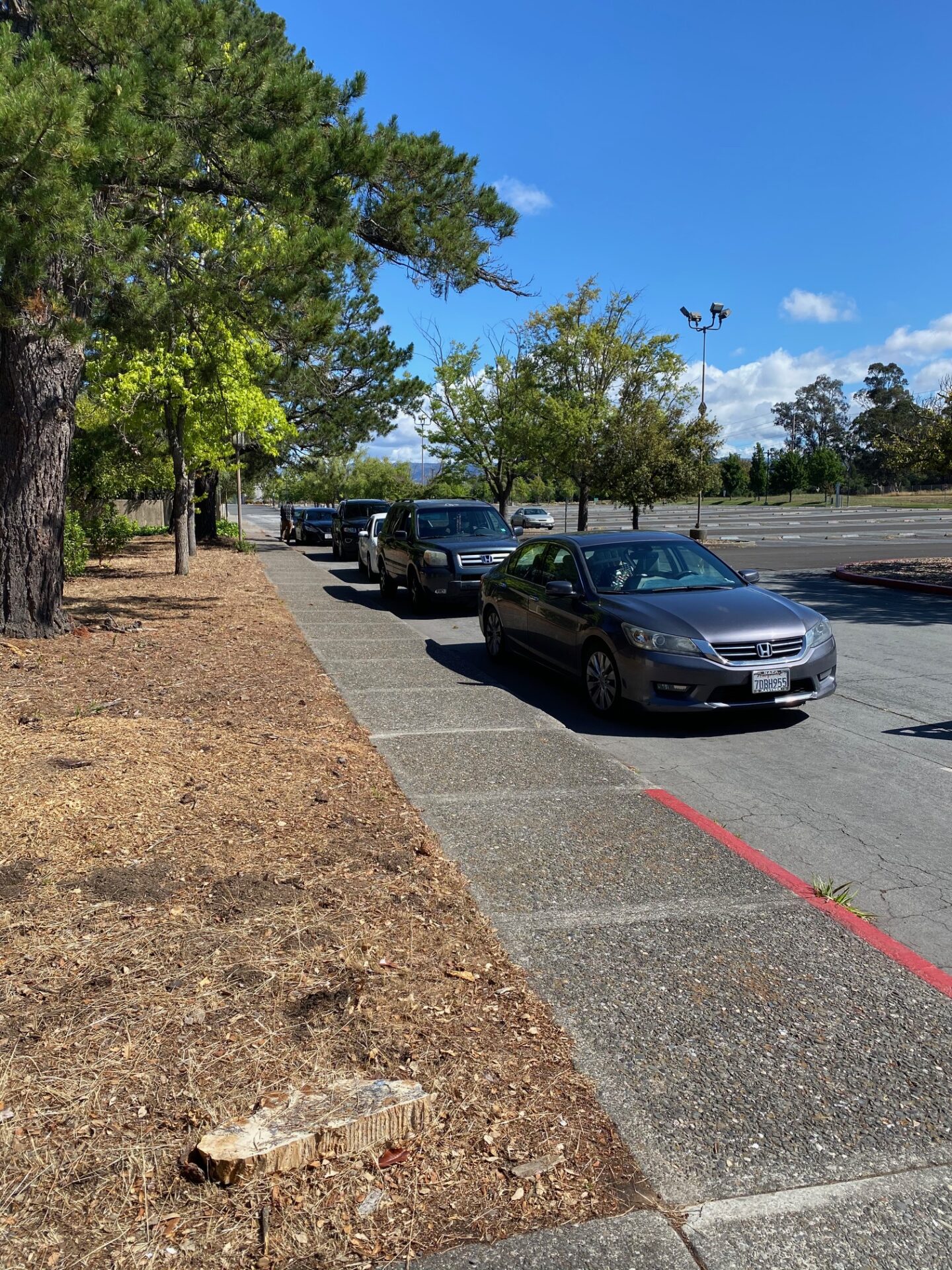 Food Basket parking lot