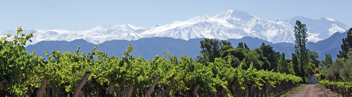 Flavors of Chile & Argentina